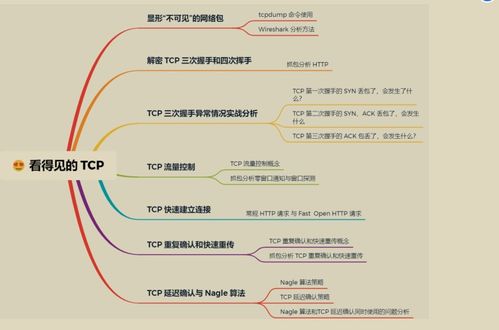 華為工程師詳解 計算機(jī)網(wǎng)絡(luò)工程施工與設(shè)計的核心原理